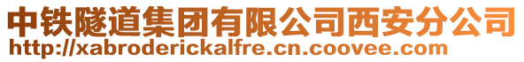 中鐵隧道集團有限公司西安分公司