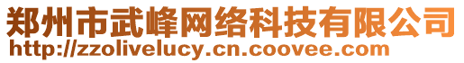 鄭州市武峰網絡科技有限公司