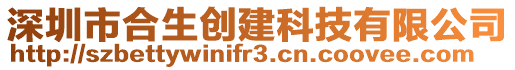 深圳市合生創建科技有限公司
