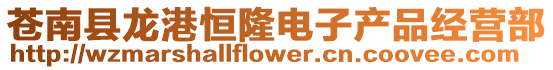 蒼南縣龍港恒隆電子產品經營部