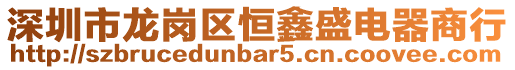 深圳市龍崗區(qū)恒鑫盛電器商行