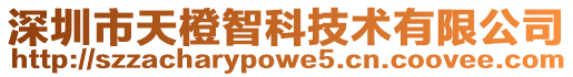 深圳市天橙智科技術有限公司
