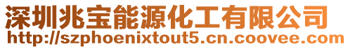 深圳兆寶能源化工有限公司