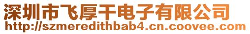 深圳市飛厚干電子有限公司