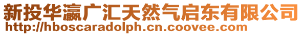 新投華瀛廣匯天然氣啟東有限公司