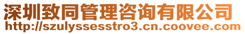 深圳致同管理咨詢有限公司