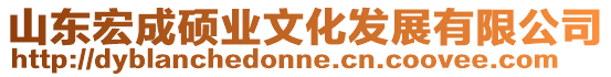 山東宏成碩業文化發展有限公司
