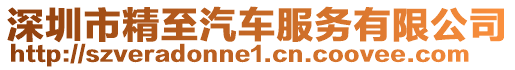 深圳市精至汽車服務有限公司