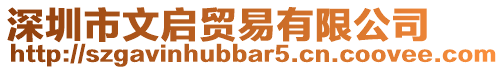深圳市文啟貿易有限公司