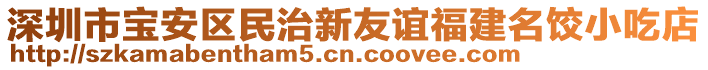 深圳市寶安區民治新友誼福建名餃小吃店