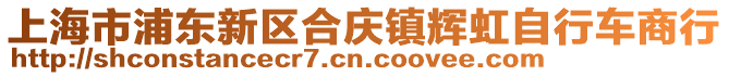 上海市浦東新區(qū)合慶鎮(zhèn)輝虹自行車商行