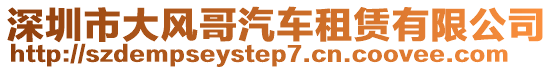 深圳市大風哥汽車租賃有限公司