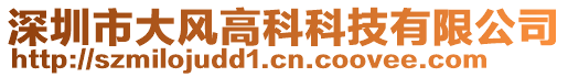 深圳市大風高科科技有限公司