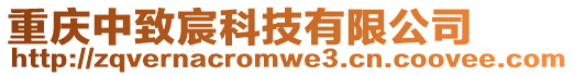 重慶中致宸科技有限公司