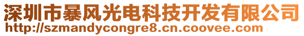 深圳市暴風(fēng)光電科技開發(fā)有限公司