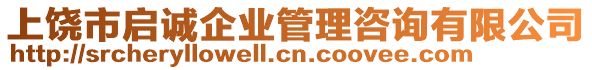 上饒市啟誠(chéng)企業(yè)管理咨詢有限公司