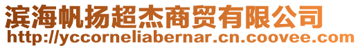 濱海帆揚(yáng)超杰商貿(mào)有限公司
