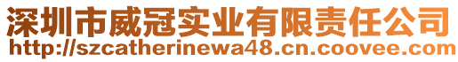 深圳市威冠實業有限責任公司