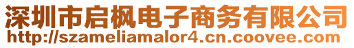 深圳市啟楓電子商務有限公司