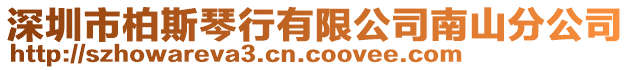 深圳市柏斯琴行有限公司南山分公司