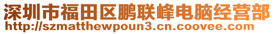 深圳市福田區(qū)鵬聯(lián)峰電腦經(jīng)營部