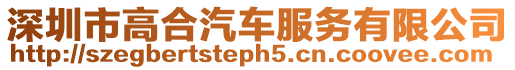 深圳市高合汽車服務(wù)有限公司