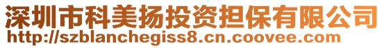 深圳市科美揚投資擔保有限公司