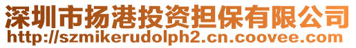 深圳市揚港投資擔保有限公司