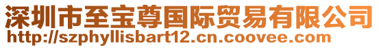 深圳市至寶尊國際貿易有限公司