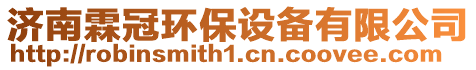 濟(jì)南霖冠環(huán)保設(shè)備有限公司