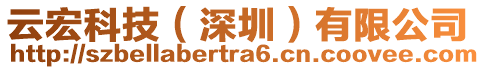 云宏科技(深圳)有限公司