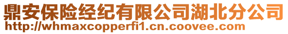 鼎安保險經紀有限公司湖北分公司