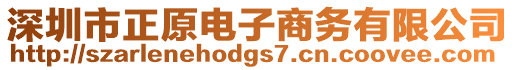 深圳市正原電子商務有限公司