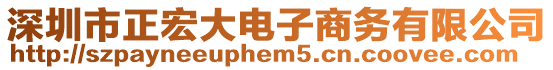 深圳市正宏大電子商務有限公司