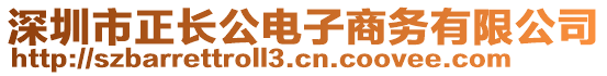 深圳市正長公電子商務有限公司