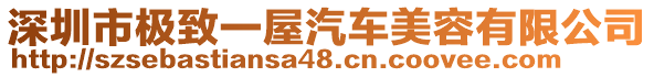 深圳市極致一屋汽車美容有限公司