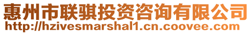 惠州市聯騏投資咨詢有限公司