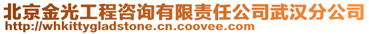 北京金光工程咨詢有限責任公司武漢分公司