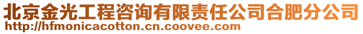 北京金光工程咨詢有限責(zé)任公司合肥分公司