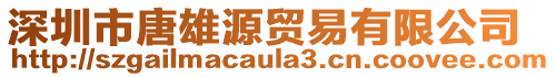 深圳市唐雄源貿易有限公司