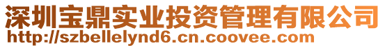深圳寶鼎實業投資管理有限公司