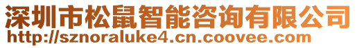 深圳市松鼠智能咨詢有限公司