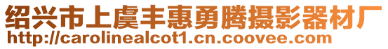 紹興市上虞豐惠勇騰攝影器材廠