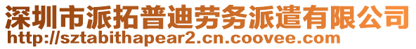 深圳市派拓普迪勞務(wù)派遣有限公司