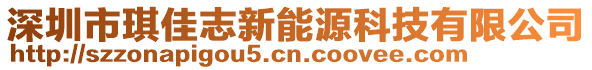 深圳市琪佳志新能源科技有限公司