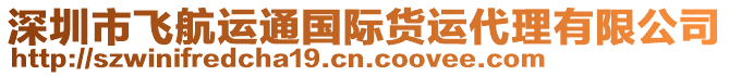 深圳市飛航運通國際貨運代理有限公司