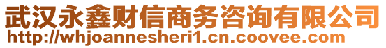 武漢永鑫財信商務咨詢有限公司
