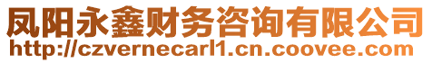 鳳陽(yáng)永鑫財(cái)務(wù)咨詢(xún)有限公司