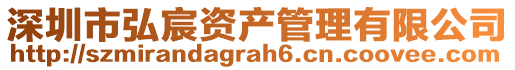 深圳市弘宸資產管理有限公司