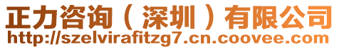 正力咨詢（深圳）有限公司